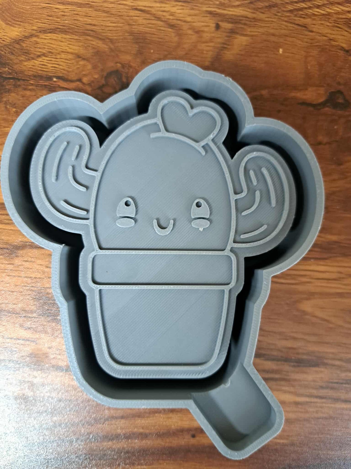 Cactus in Flower Pot Mold