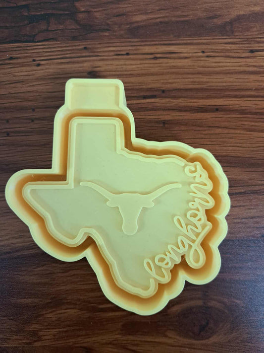Texas Longhorn Inspired Mold