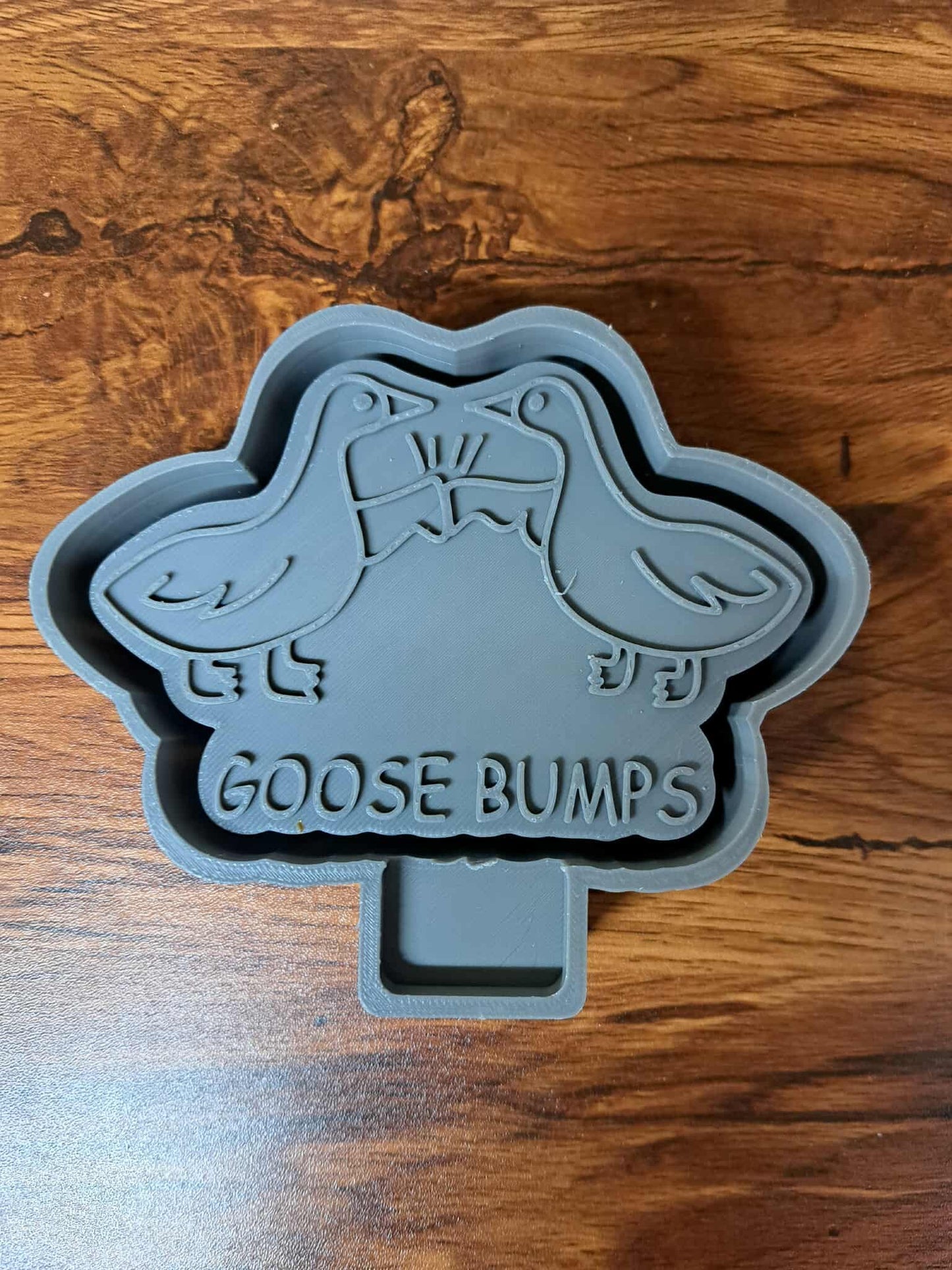 Goose Bumps Mold