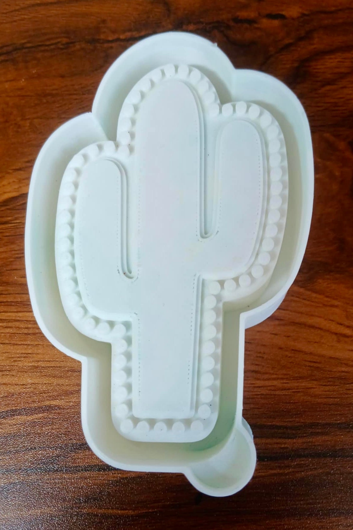 Cactus Rhinestone Outline Mold