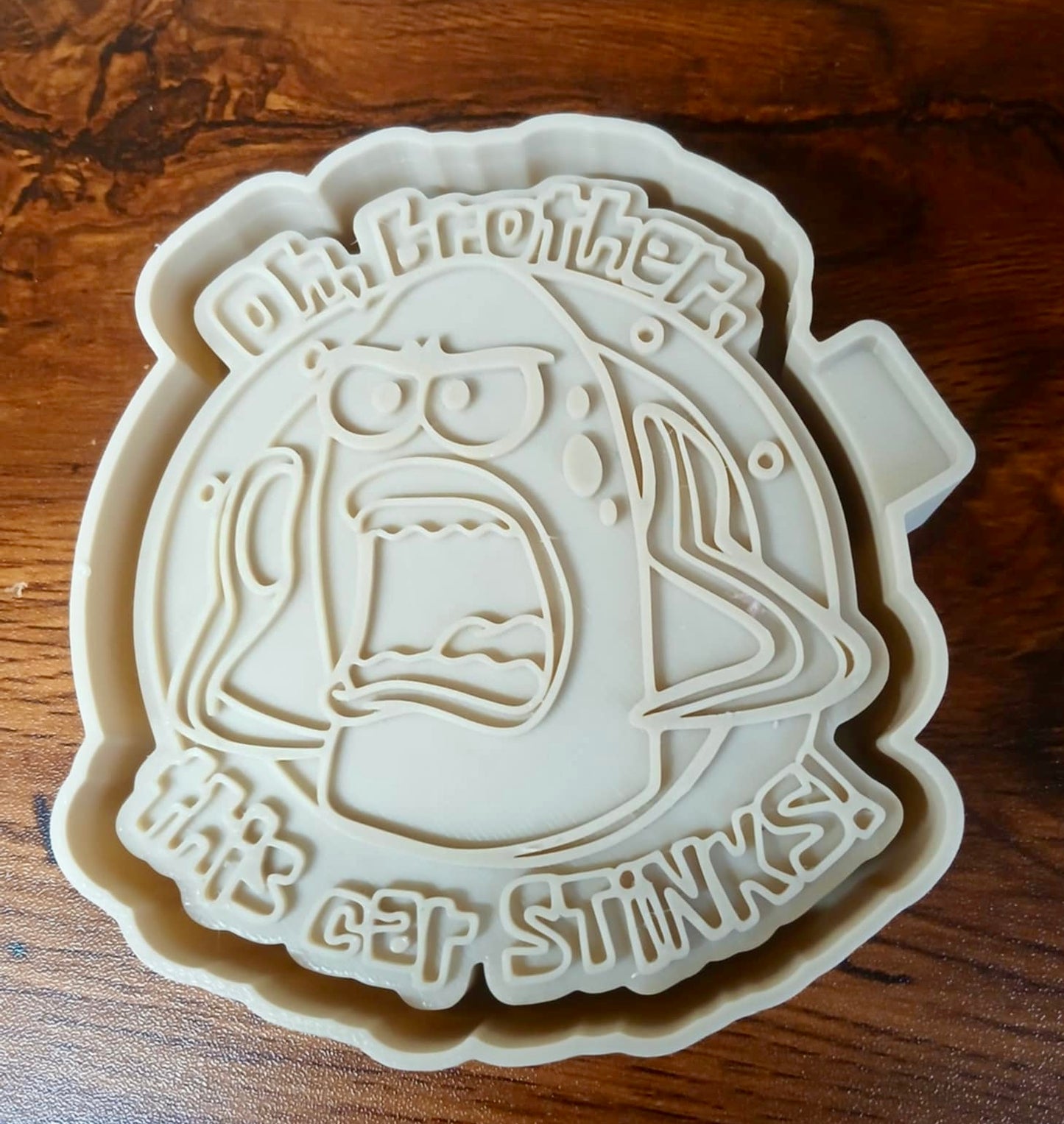 Oh Brother this Car Stinks Mold