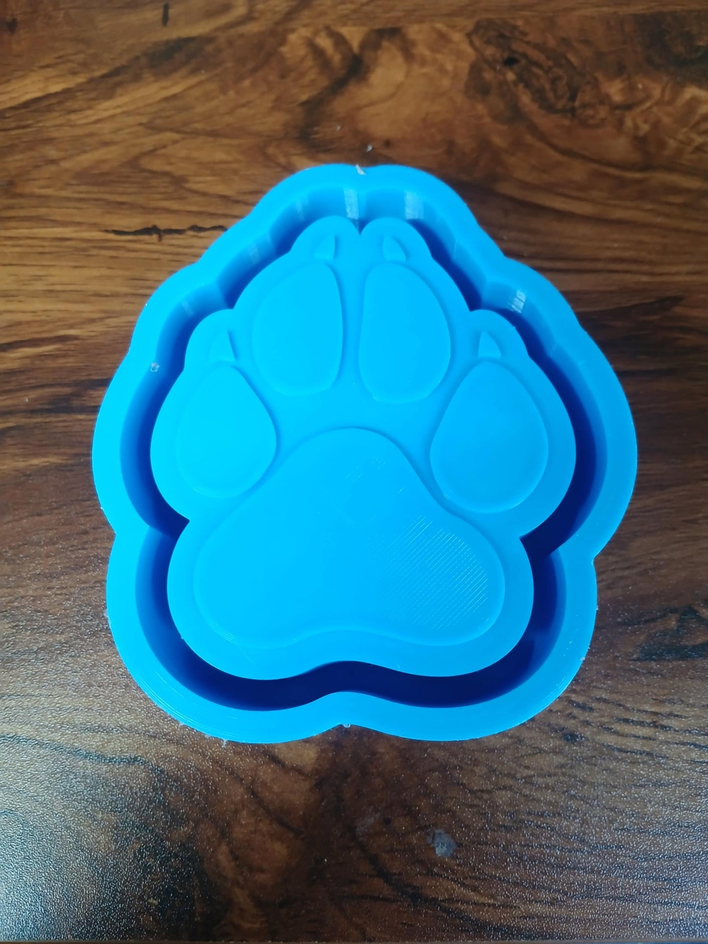Dog Paw Mold
