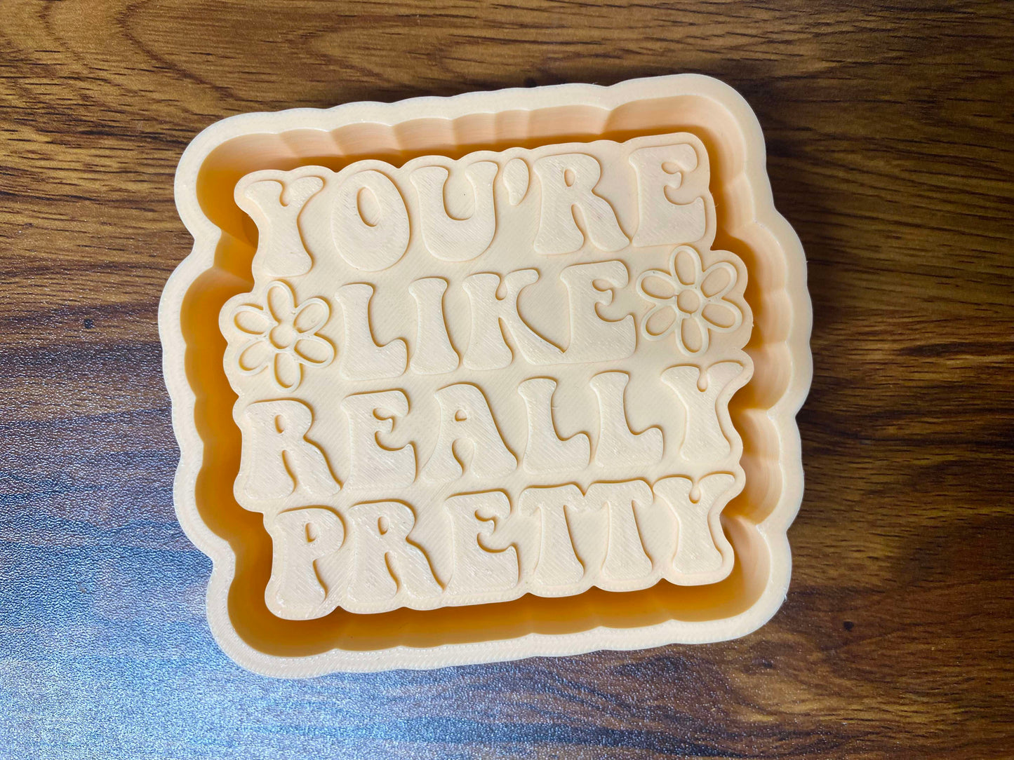 Your Like Really Pretty Mold