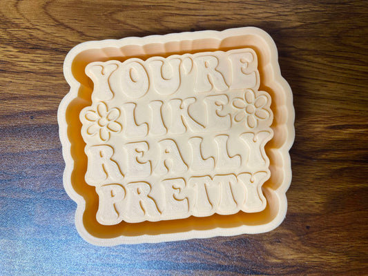 Your Like Really Pretty Mold