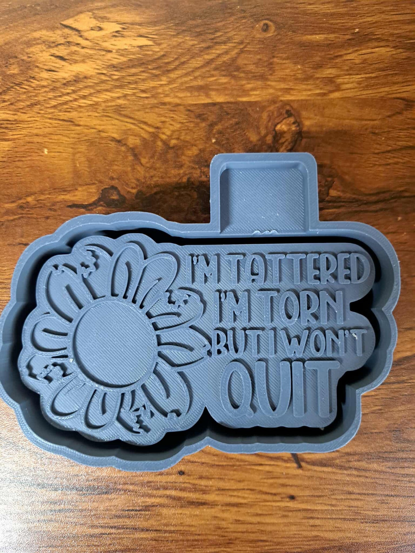 I’m Tattered I’m Torn But I Will Not Quit Mold