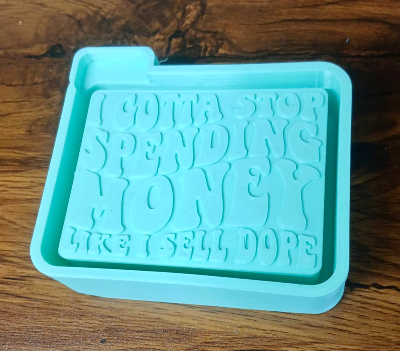 I Gotta Stop Spending Money Mold