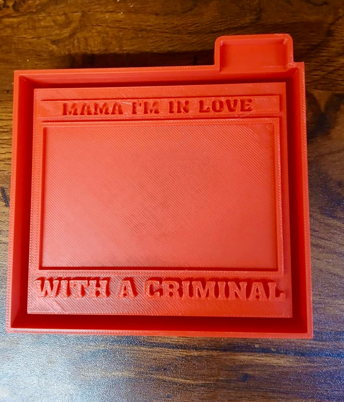 Mama I’m in Love With a Criminal Mold