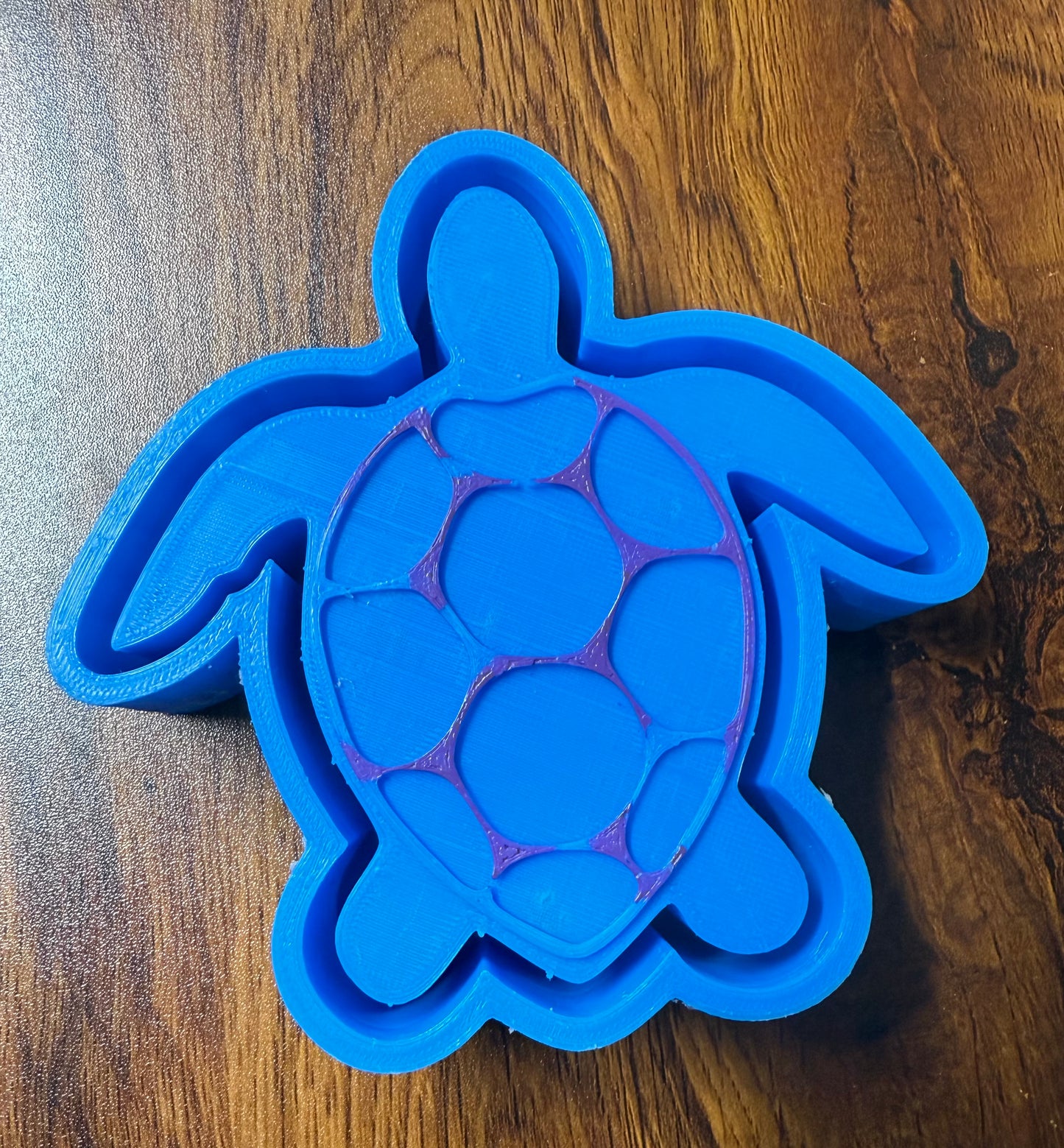 Sea Turtle Mold