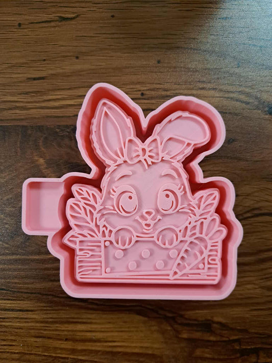 Easter Bunny in Box Mold