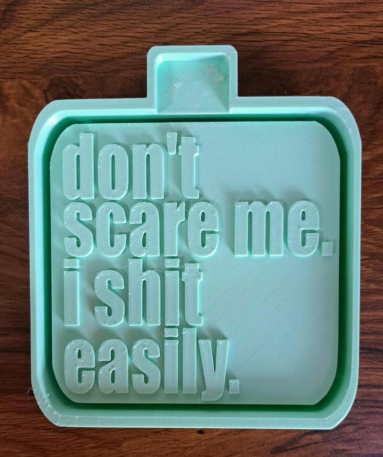 Don’t Scare Me I Shit Easily Mold