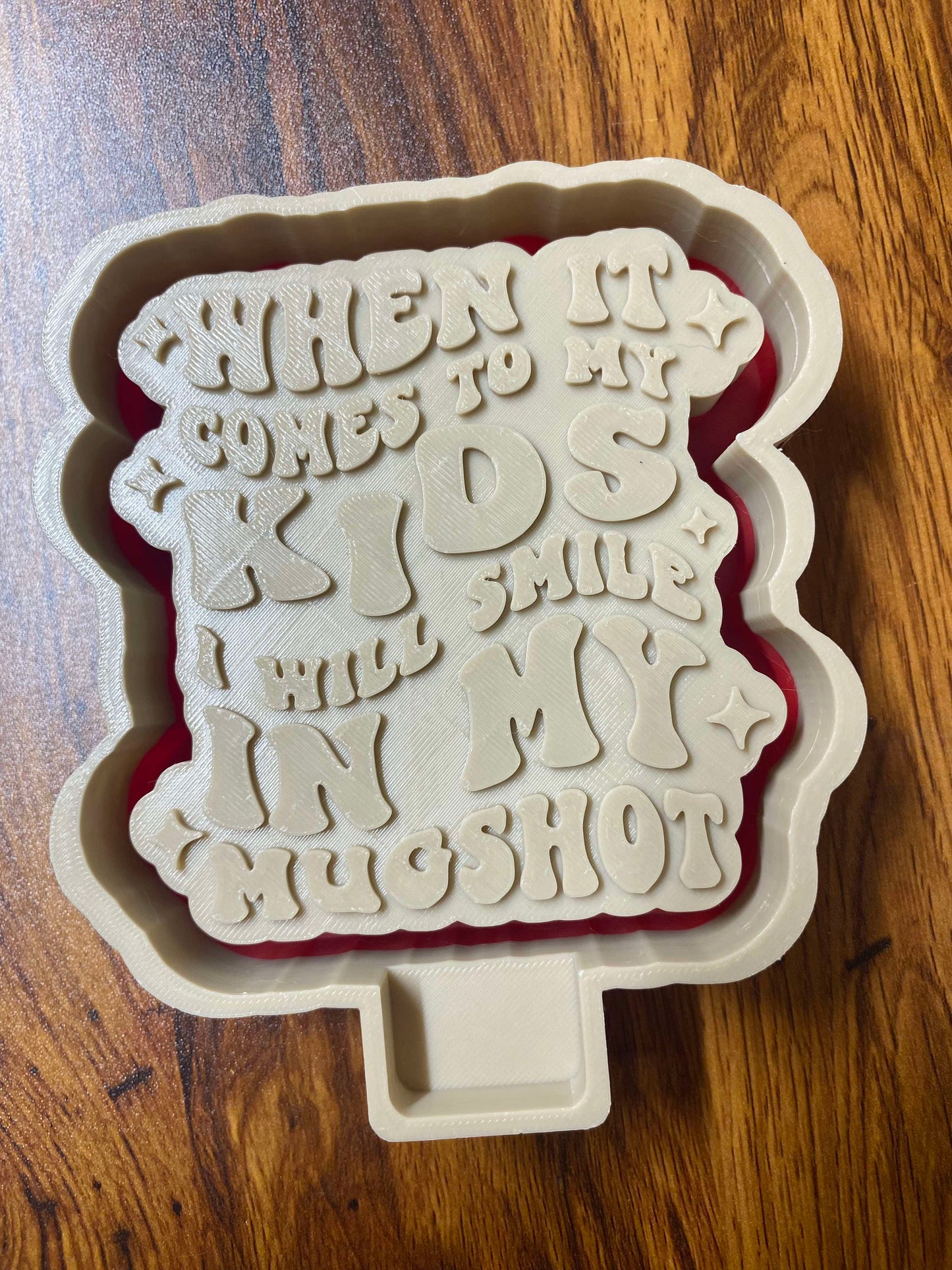 When it Comes to my Kids I Will Smile in my Mugshot Mold