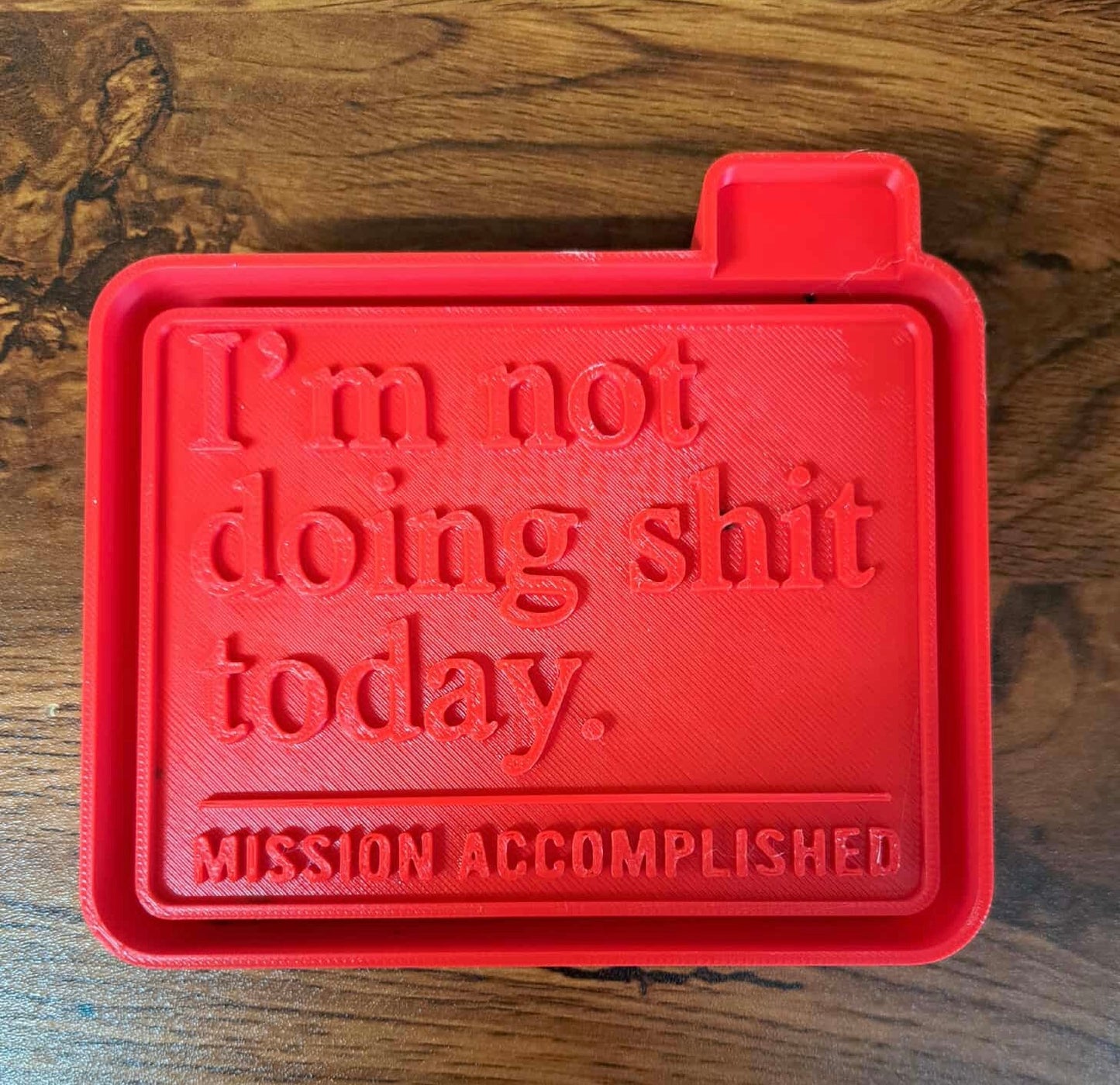 I’m Not Doing S’ Today Mold