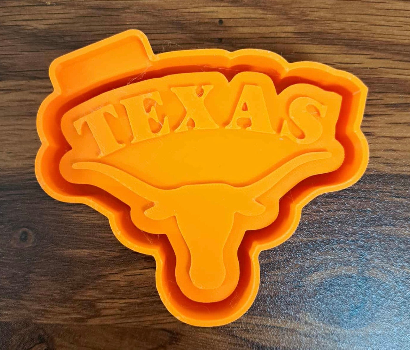 Texas Longhorn Inspired Mold
