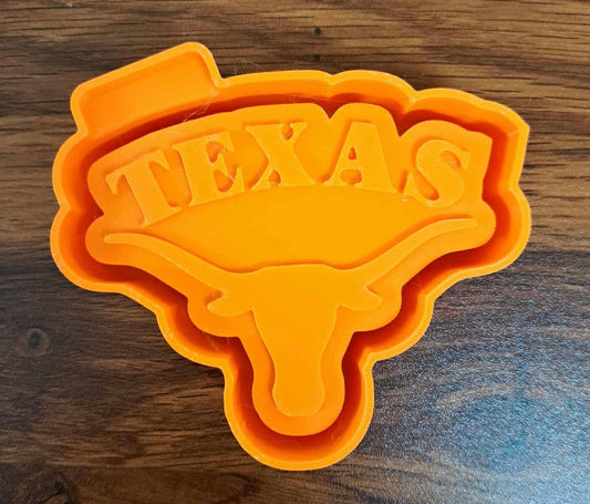 Texas Longhorn Inspired Mold